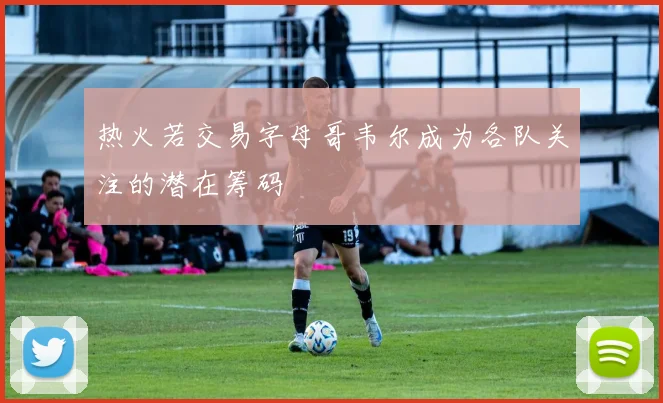 热火若交易字母哥韦尔成为各队关注的潜在筹码